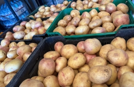 Patatas Ojo Perdiz